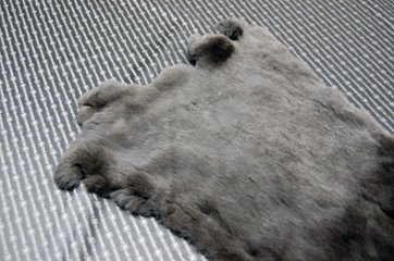 レッキス原反　ダークブラウン(253)画像