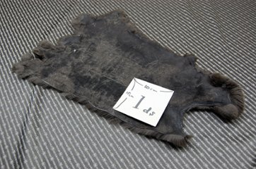 レッキス原反　ダークブラウン(253)画像