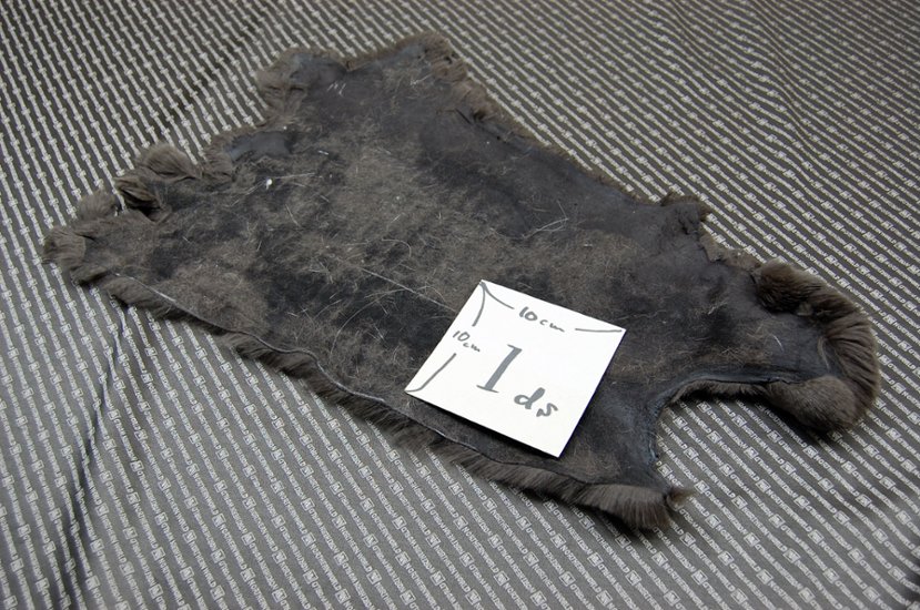 レッキス原反　ダークブラウン(253)画像