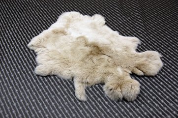 レッキス原反　ライトベージュ(254)の画像