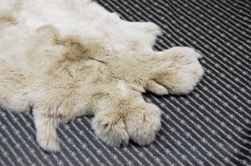 レッキス原反　ライトベージュ(254)画像