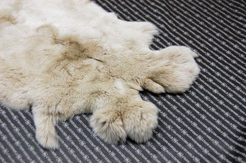 レッキス原反　ライトベージュ(254)画像