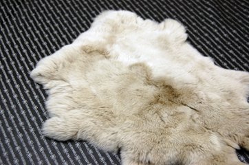 レッキス原反　ライトベージュ(254)画像