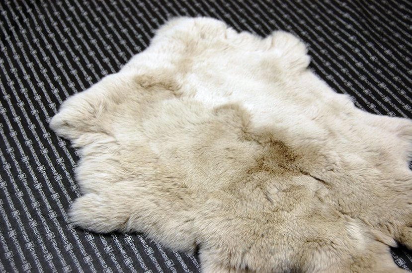 レッキス原反　ライトベージュ(254)画像