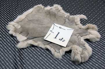 レッキス原反　ライトベージュ(254)画像