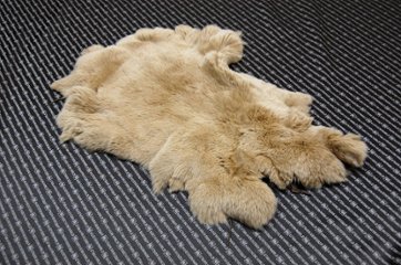 レッキス原反　ベージュ(255)の画像