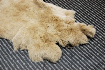 レッキス原反　ベージュ(255)画像