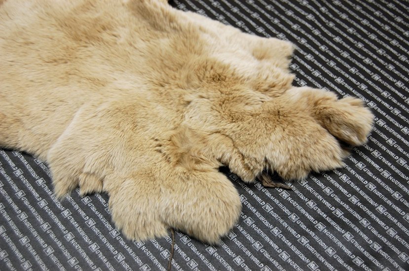 レッキス原反　ベージュ(255)画像