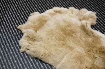 レッキス原反　ベージュ(255)画像