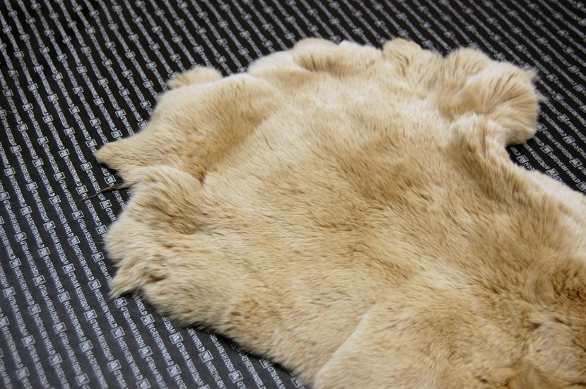 レッキス原反　ベージュ(255)画像