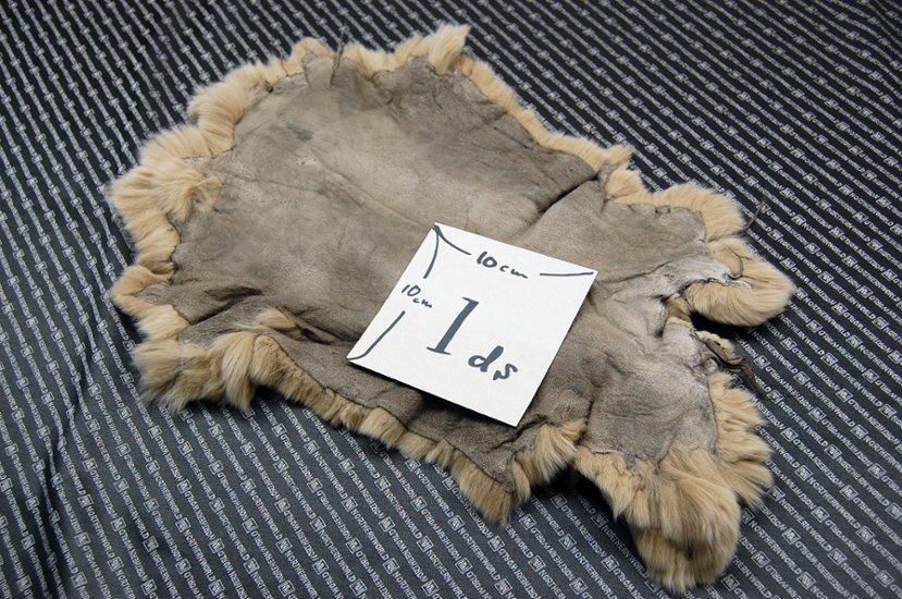 レッキス原反　ベージュ(255)画像