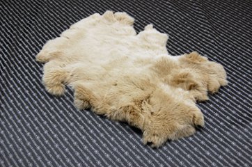 レッキス原反　ベージュ(256)の画像