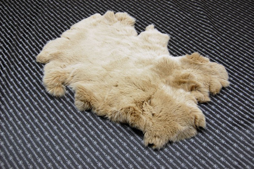 レッキス原反　ベージュ(256)画像