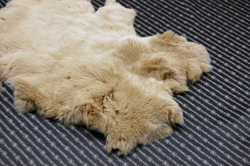 レッキス原反　ベージュ(256)画像