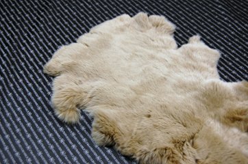 レッキス原反　ベージュ(256)画像