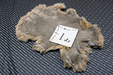 レッキス原反　ベージュ(256)画像