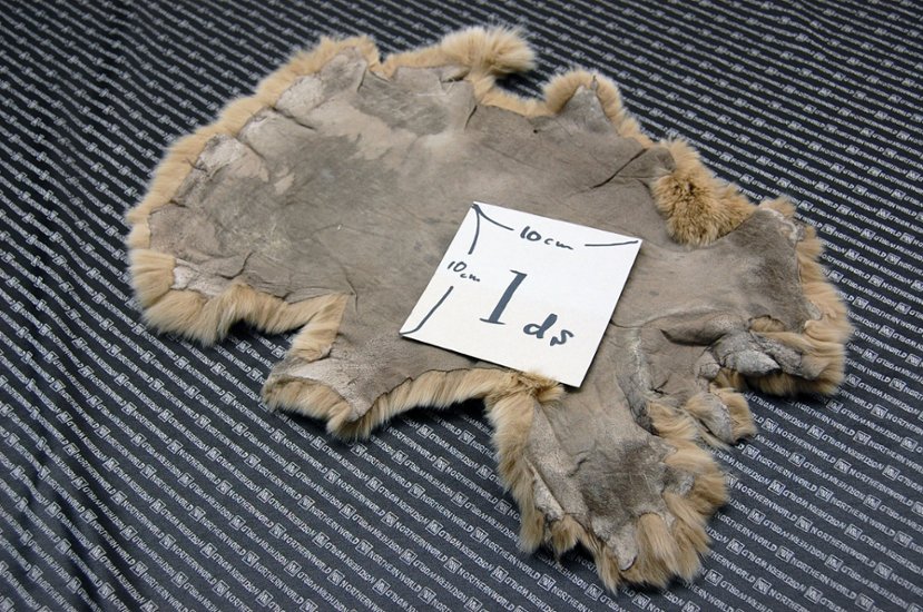 レッキス原反　ベージュ(256)画像