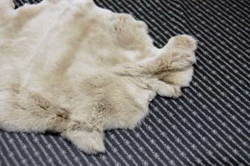 レッキス原反　ライトベージュ(257)画像