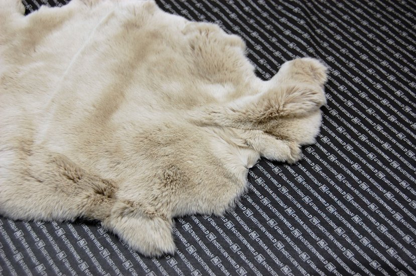 レッキス原反　ライトベージュ(257)画像