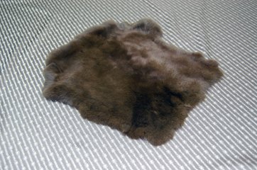 レッキス原反　ダークブラウン(258)の画像