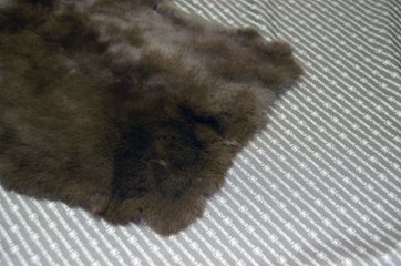 レッキス原反　ダークブラウン(258)画像