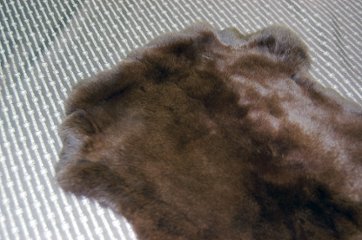 レッキス原反　ダークブラウン(258)画像