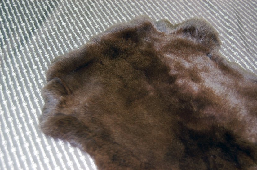 レッキス原反　ダークブラウン(258)画像