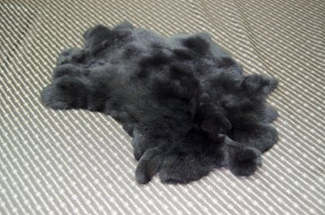 レッキス原反　ダークグレー(259)の画像