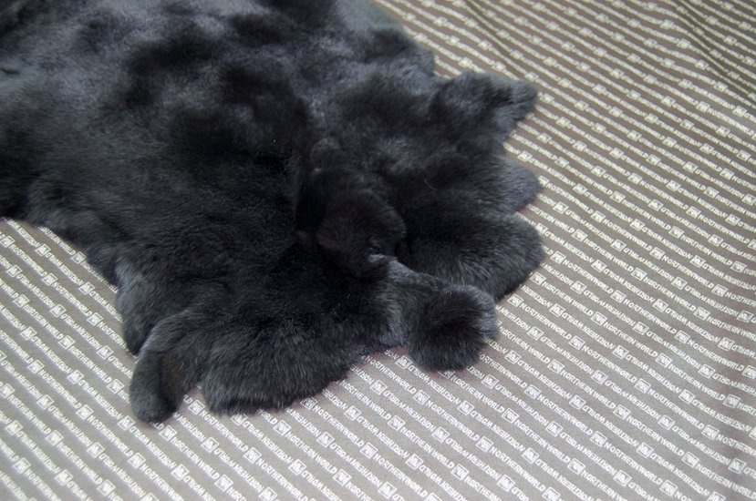 レッキス原反　ダークグレー(259)画像