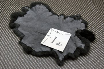 レッキス原反　ダークグレー(259)画像