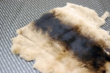 レッキス原反　ベージュプリント(260)画像