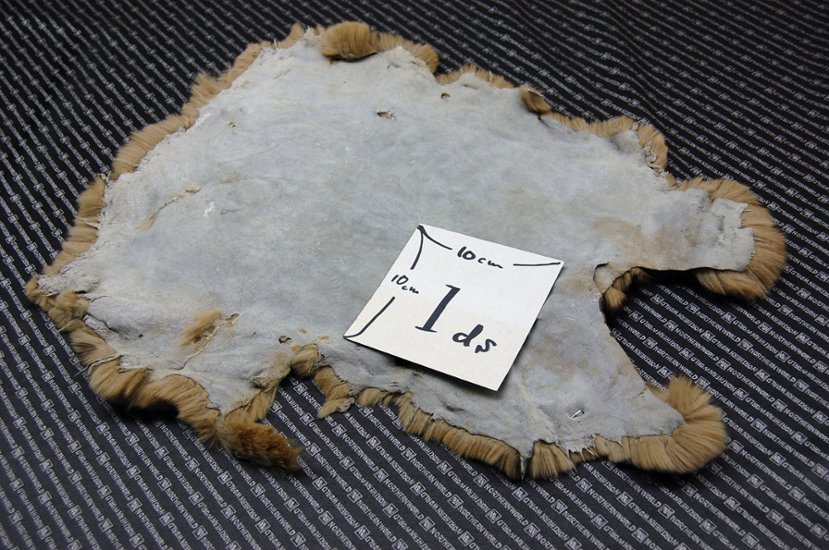 レッキス原反　ベージュプリント(260)画像