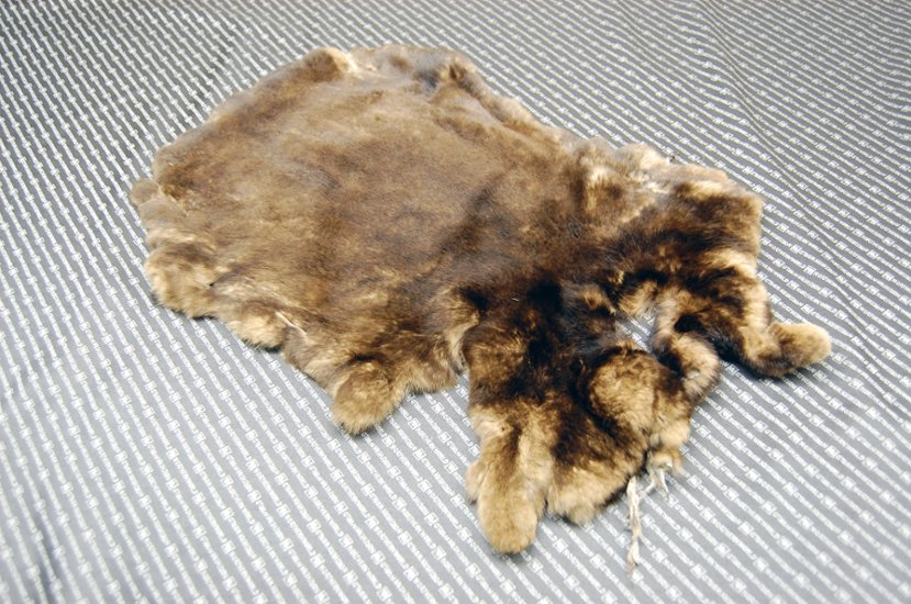 レッキス原反　ベージュプリント(261)画像