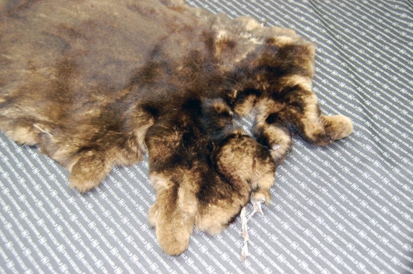 レッキス原反　ベージュプリント(261)画像