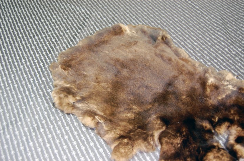 レッキス原反　ベージュプリント(261)画像