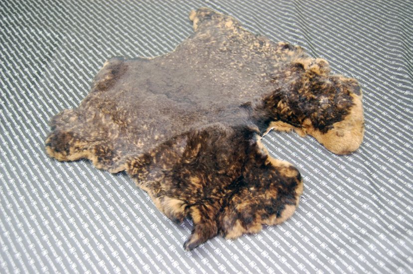 レッキス原反　ベージュプリント(262)画像