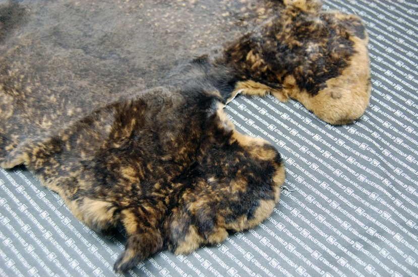 レッキス原反　ベージュプリント(262)画像