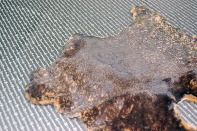 レッキス原反　ベージュプリント(262)画像