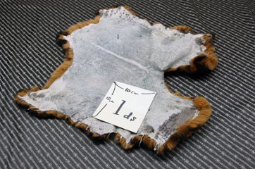 レッキス原反　ベージュプリント(262)画像