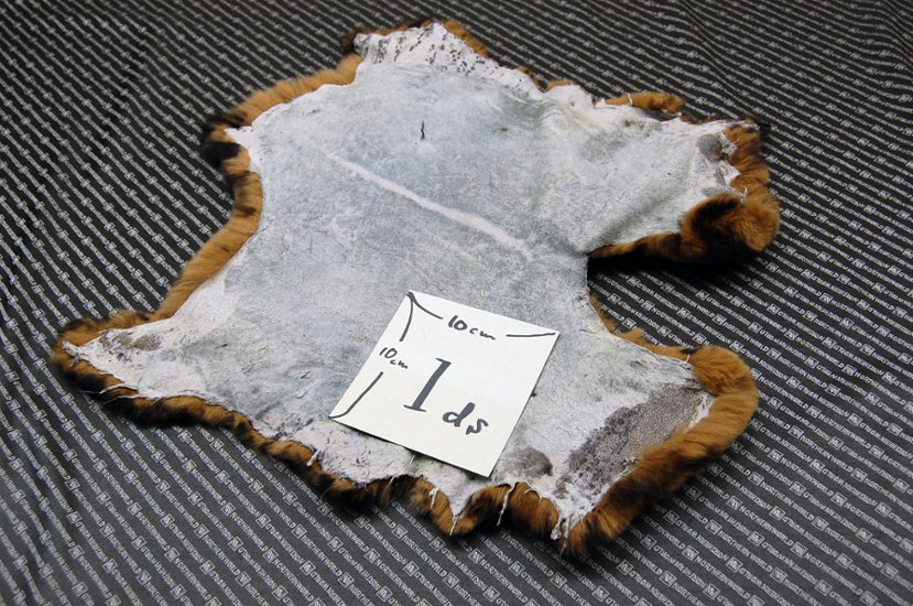 レッキス原反　ベージュプリント(262)画像