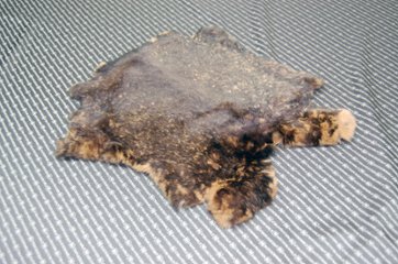 レッキス原反　ベージュプリント(263)の画像