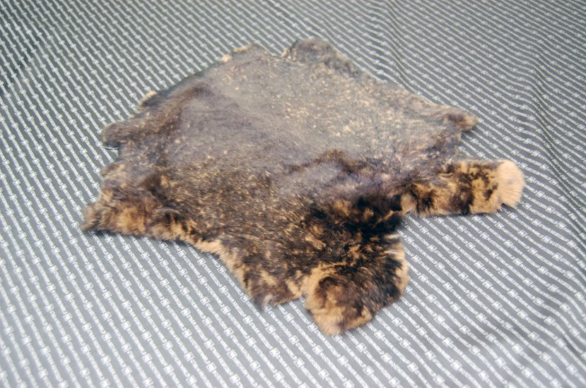 レッキス原反　ベージュプリント(263)画像