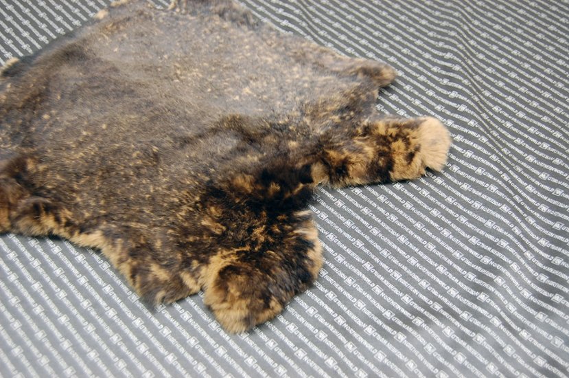 レッキス原反　ベージュプリント(263)画像