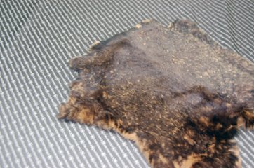 レッキス原反　ベージュプリント(263)画像