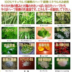 楽草（薬草）ホットパット・S画像