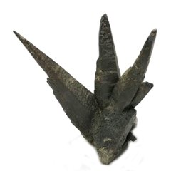 天然石  ガネーシュヒマール産  水晶 クラスター  クローライトINクォーツ  限定品　923画像