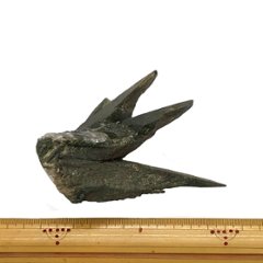天然石  ガネーシュヒマール産  水晶 クラスター  クローライトINクォーツ  限定品　923画像