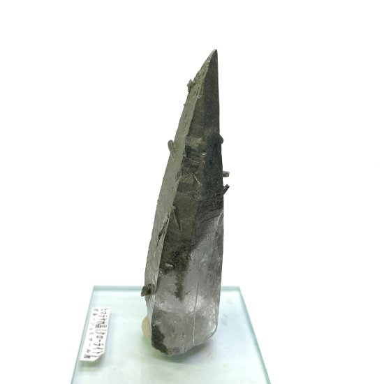 天然石  ガネーシュヒマール産 ヒマラヤ水晶 ポイント（クラスター）クローライトINクォーツ  限定品 944画像