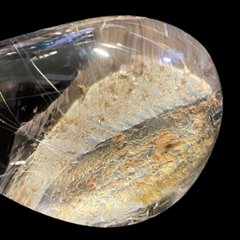 天然石 ガーデン水晶　ゴールドルチル 入り（2401）庭園水晶画像