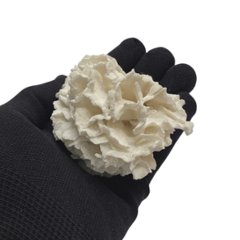 天然 白珊瑚 サンゴ  シャコガイ  セット  (3504）インテリア 置き飾り 貝殻 標本 限定品画像